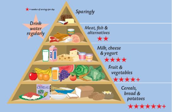 4 Basic Food Groups Chart